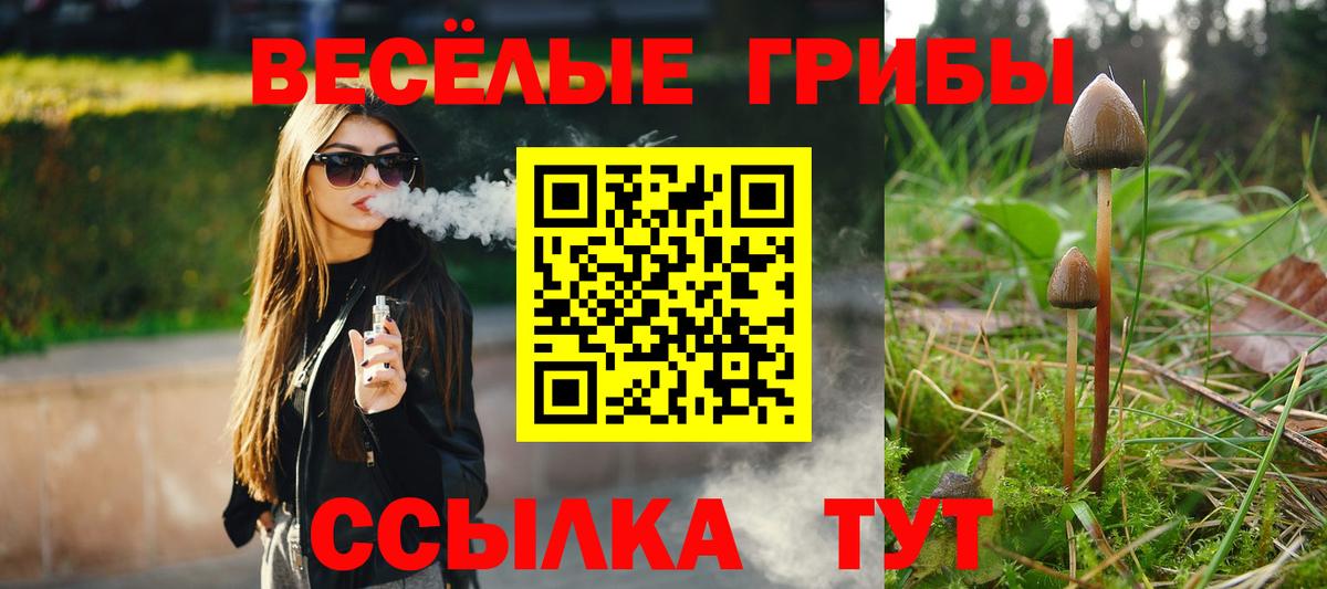 Галлюциногенные грибы ЛСД  Вход с VPN  Гусь-Хрустальный 