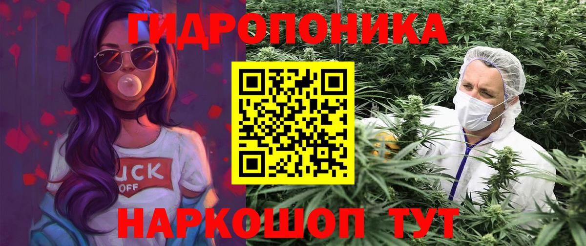 Марихуана гибрид Гусь-Хрустальный